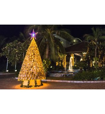 660$ за 10 дней на Фукуоке в декабре!